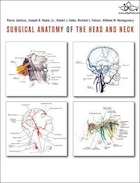 Surgical Anatomy of the Head and Neck | آناتومی جراحی سر و گردن